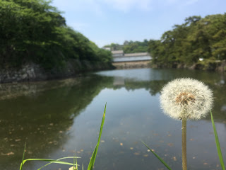 5月始まりました♪