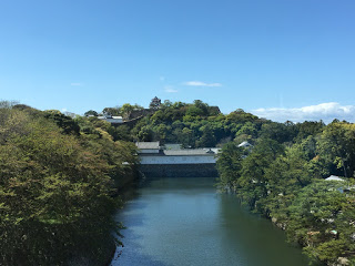 桜が散って新緑の季節へ