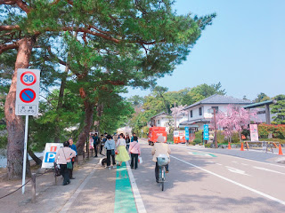 桜まつり