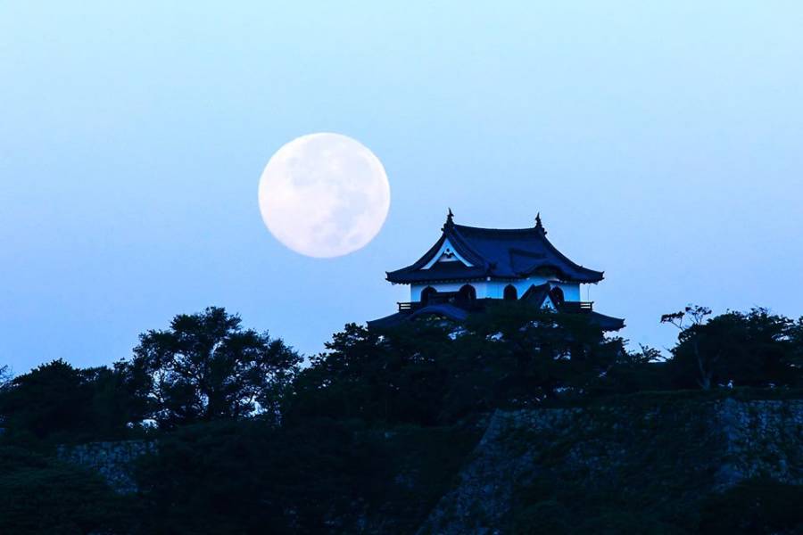 彦根城夜楽 2018