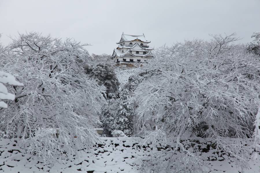 白銀の雪を化粧をまとった国宝彦根城