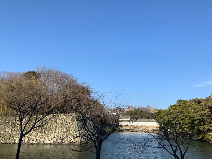 |彦根お天気ブログ|　雲一つない空＼(^o^)／