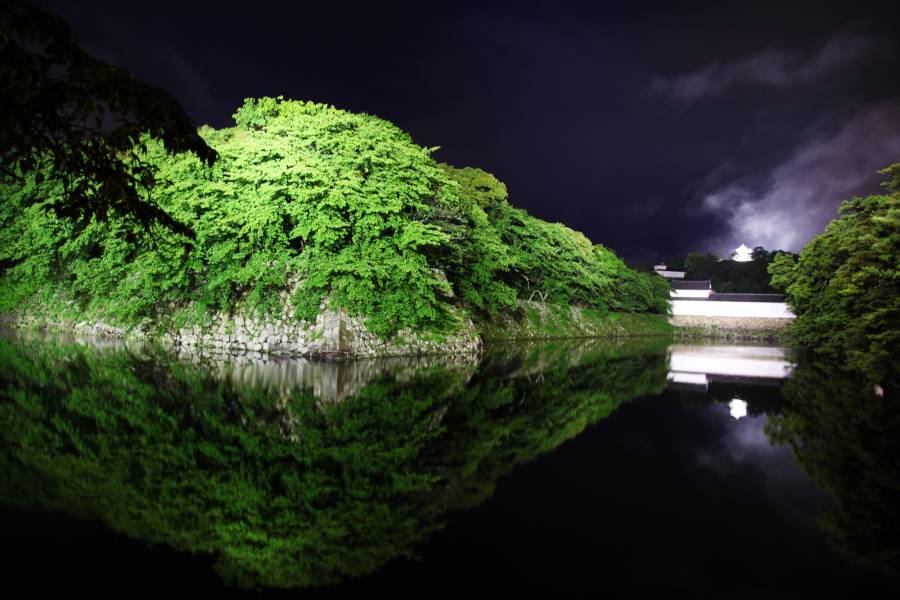 |彦根お天気ブログ| 新緑の彦根城