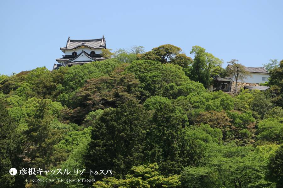 彦根城 しっくい壁の修復作業による通行止めについて