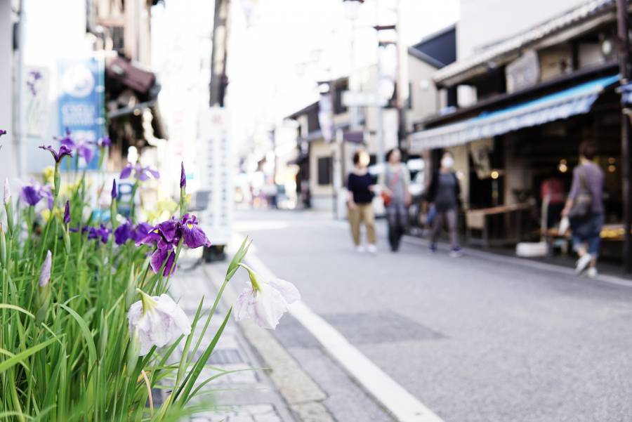 |お祭りイベント|  花しょうぶ通り アートフェスタ勝負市［毎年6月開催］