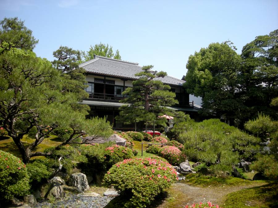 | 長浜イベント | 慶雲館 ーさつき 盆栽展ー