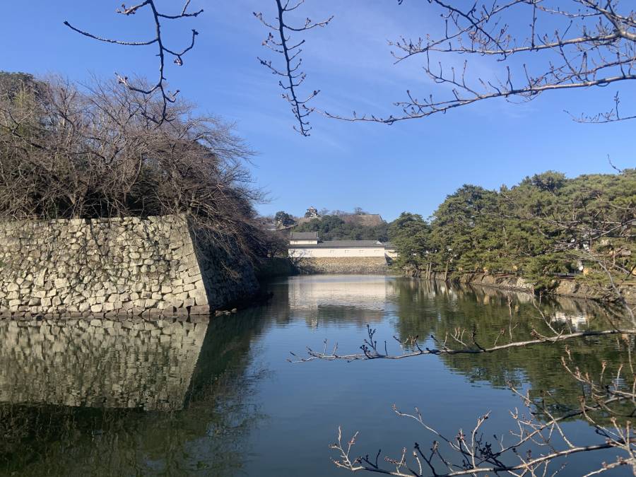 |彦根お天気ブログ|広く晴れています(^^♪明日は新成人の集い！