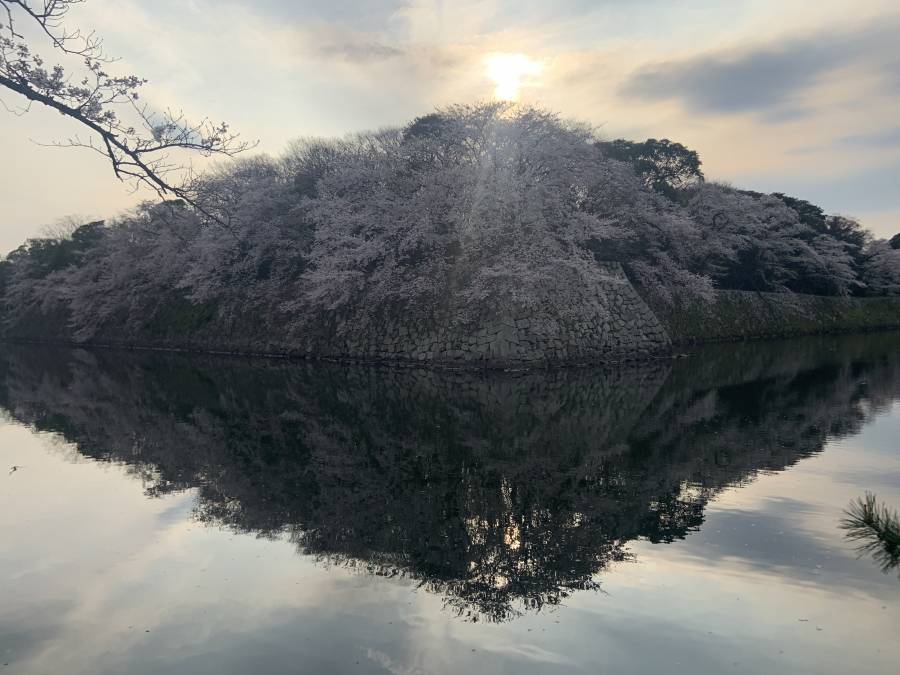 3日夕方撮影