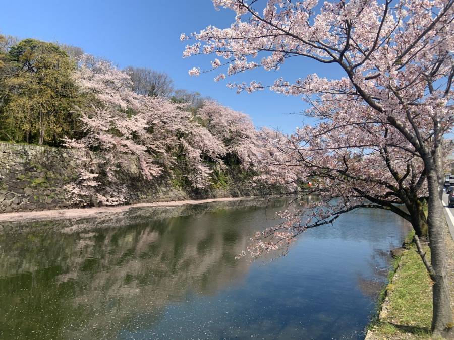 | 彦根お天気ブログ | 穏やかなお天気!(^^)!