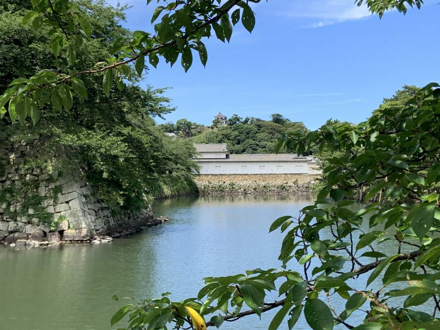 | 彦根お天気ブログ |　貴重な晴れ間♪