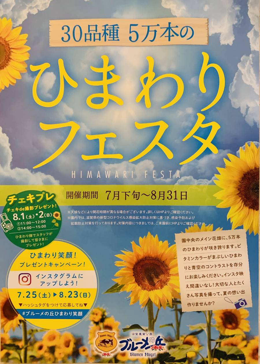 | 彦根お天気ブログ |　30品種5万本の！『ひまわりフェスタ』✿✿