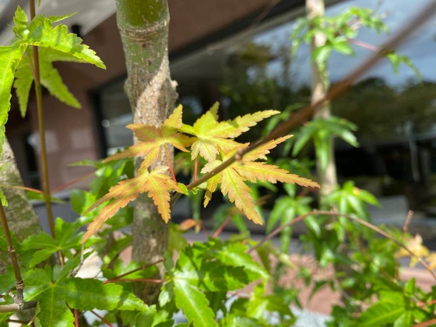 | 彦根お天気ブログ |　パーテーションが新しくなりました！