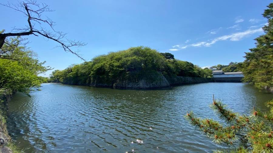 | 彦根お天気ブログ |さわやかな天気！でも強風に注意～(`ω´)