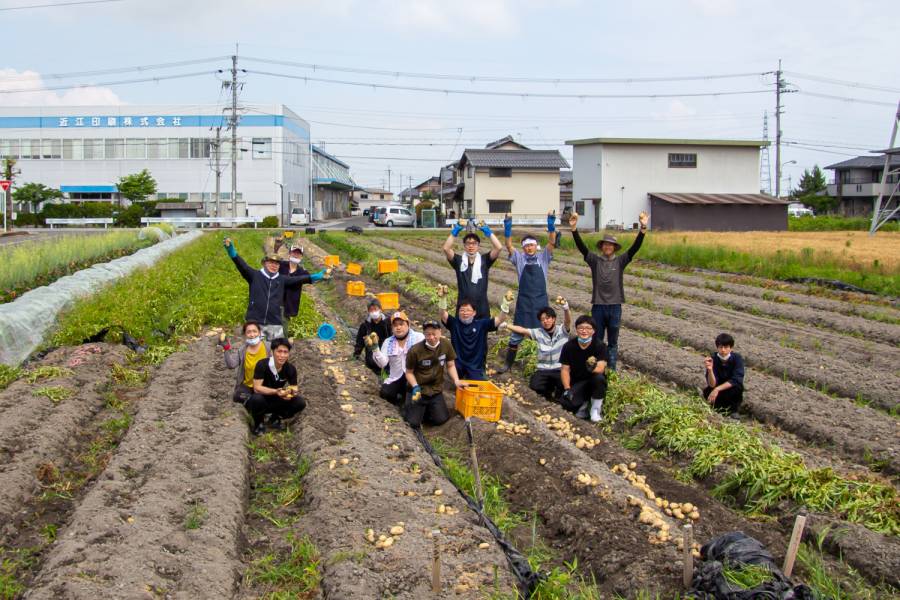 地元野菜を考える会・じゃがいも掘り体験へ