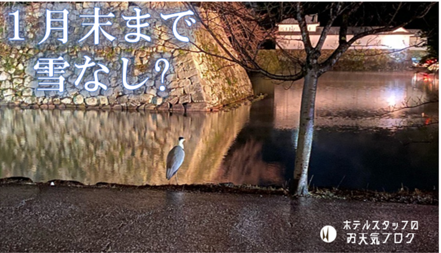 | 彦根お天気ブログ |お天気、一旦落ち着く予報！