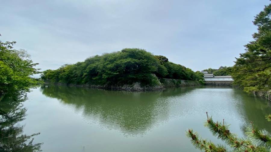 |彦根お天気ブログ| 新緑の彦根♪明日からしばらく雨です！