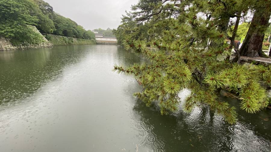 | 彦根お天気ブログ |GW最終日は雨('ω')/虎てつ5月新商品～♪