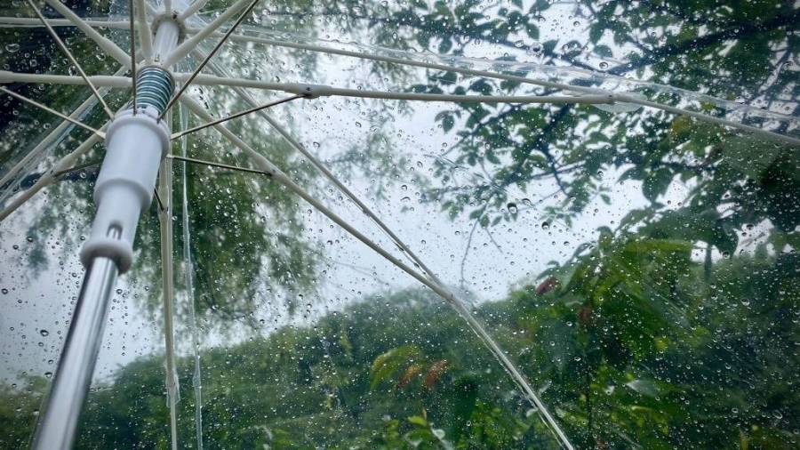 | 彦根お天気ブログ |6月スタート！もう梅雨入り・・・('ω')