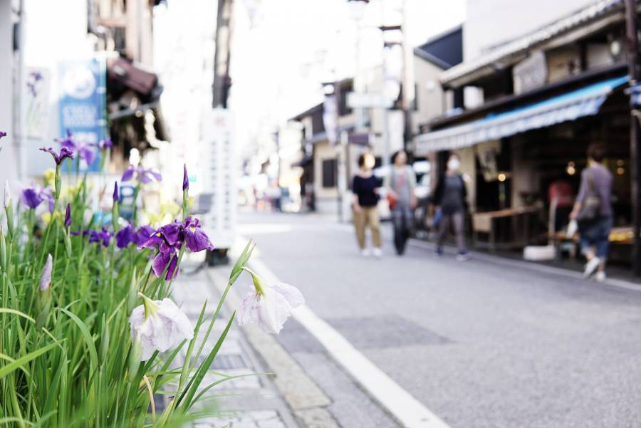 |彦根お天気ブログ| 週末は、花しょうぶ通り アートフェスタ勝負市！