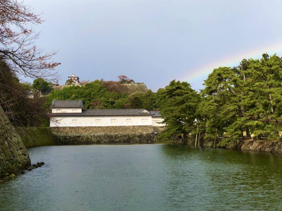 | 彦根お天気ブログ |季節の変わり目