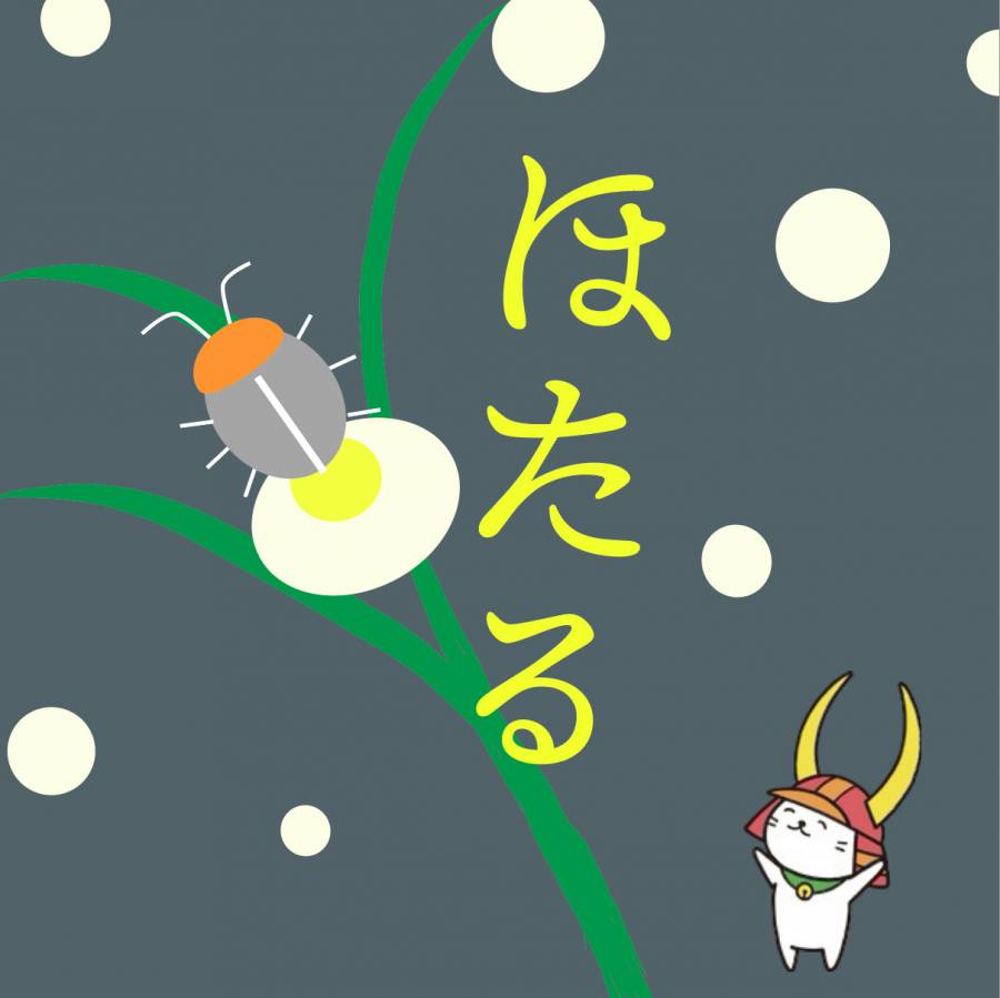 | 彦根お天気ブログ |天の川　ほたるまつり