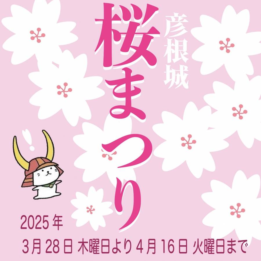| 彦根お天気ブログ |彦根城桜まつり