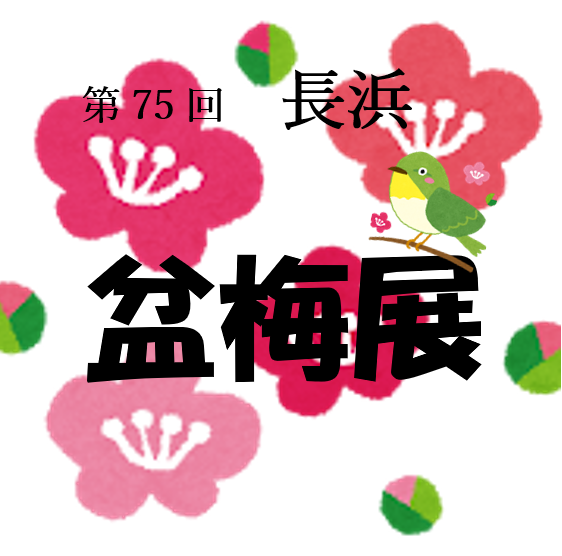 ｜お天気ブログ｜盆梅展