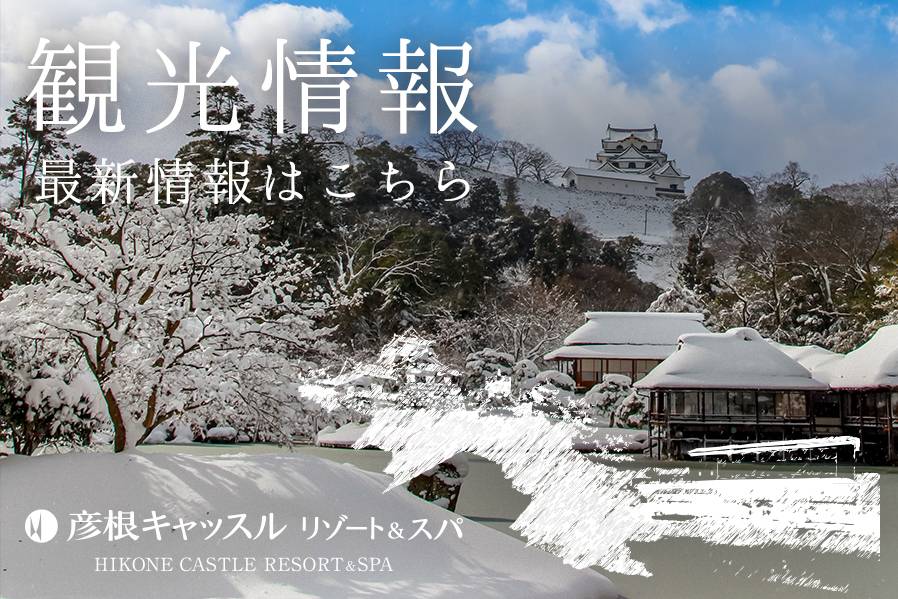 【2019年1月10日〜3月10日】第68回 長浜盆梅展