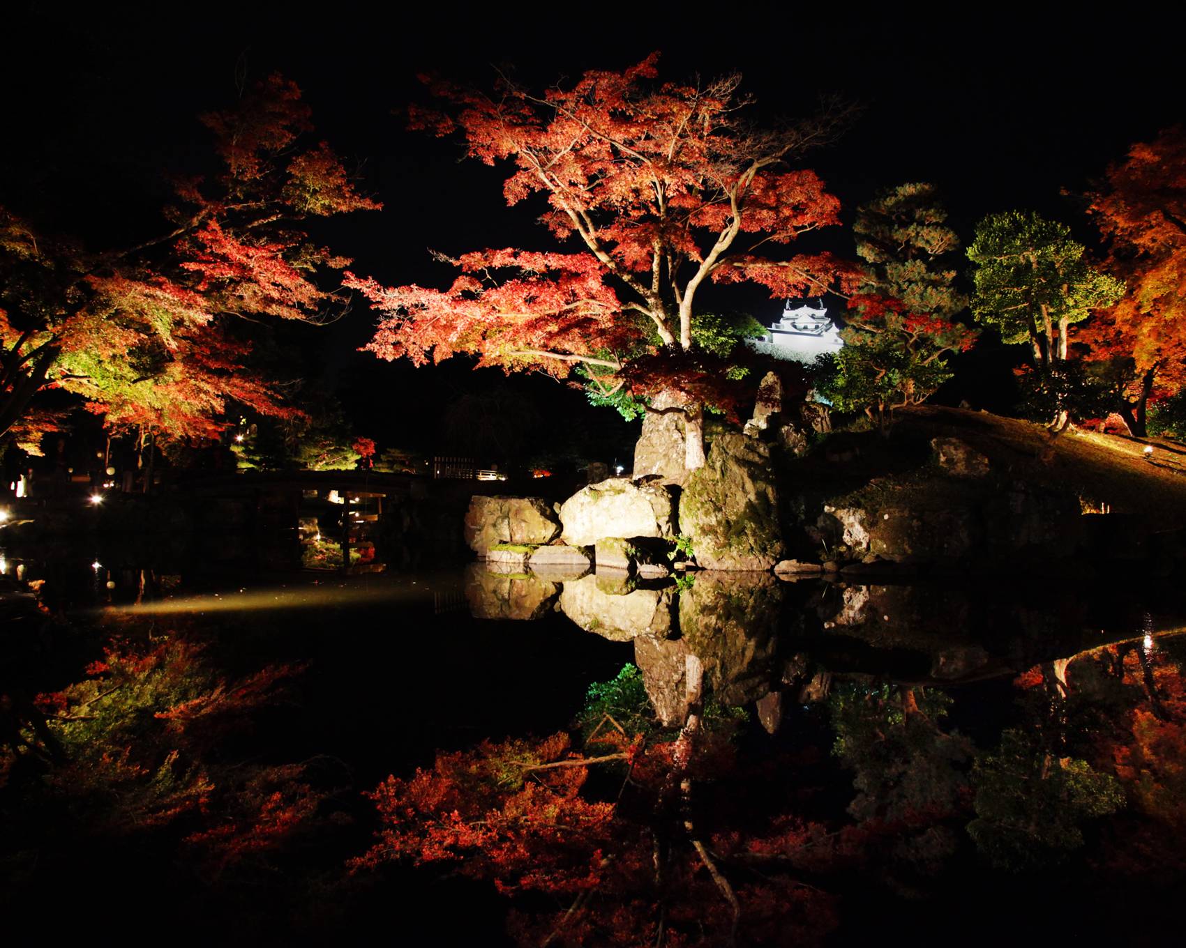 彦根城の幻想的な紅葉が楽しめるー錦秋の玄宮園ライトアップー　今月21日からスタート！