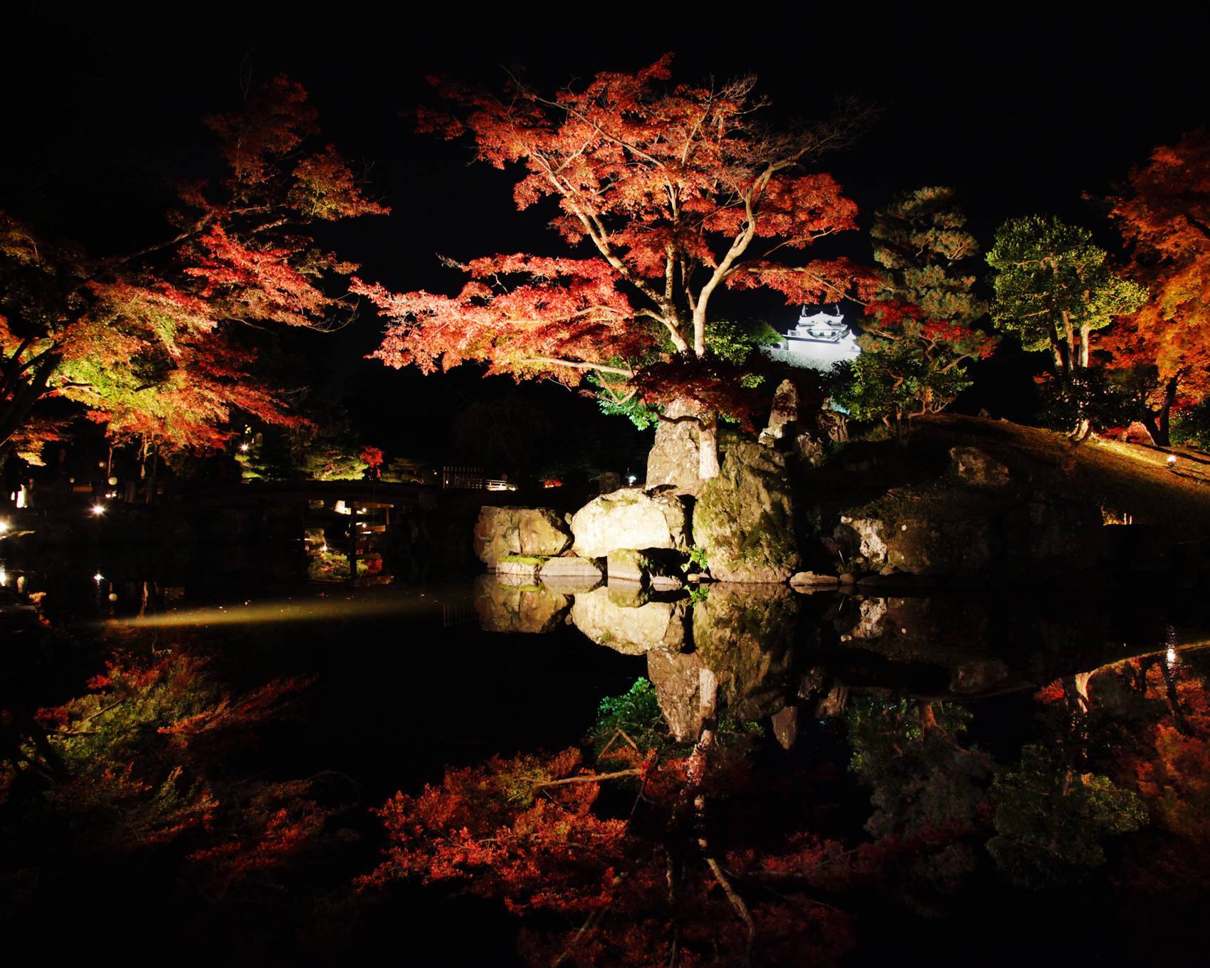彦根城の幻想的な紅葉が楽しめるー錦秋の玄宮園ライトアップー　公開中です♪