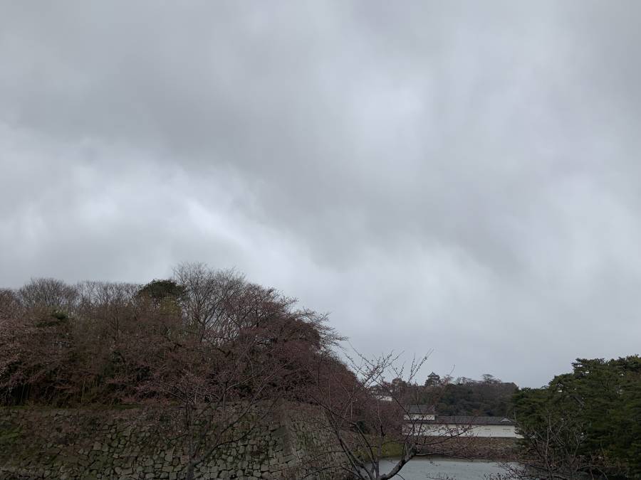 雲行きが怪しくなってきた…