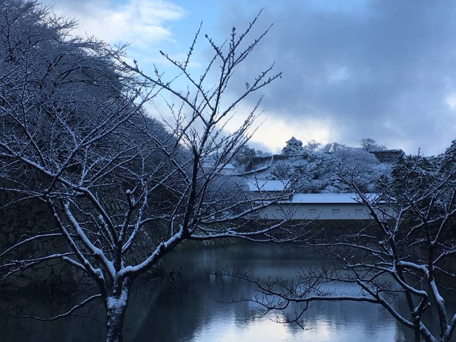 ホテル前からの雪景色