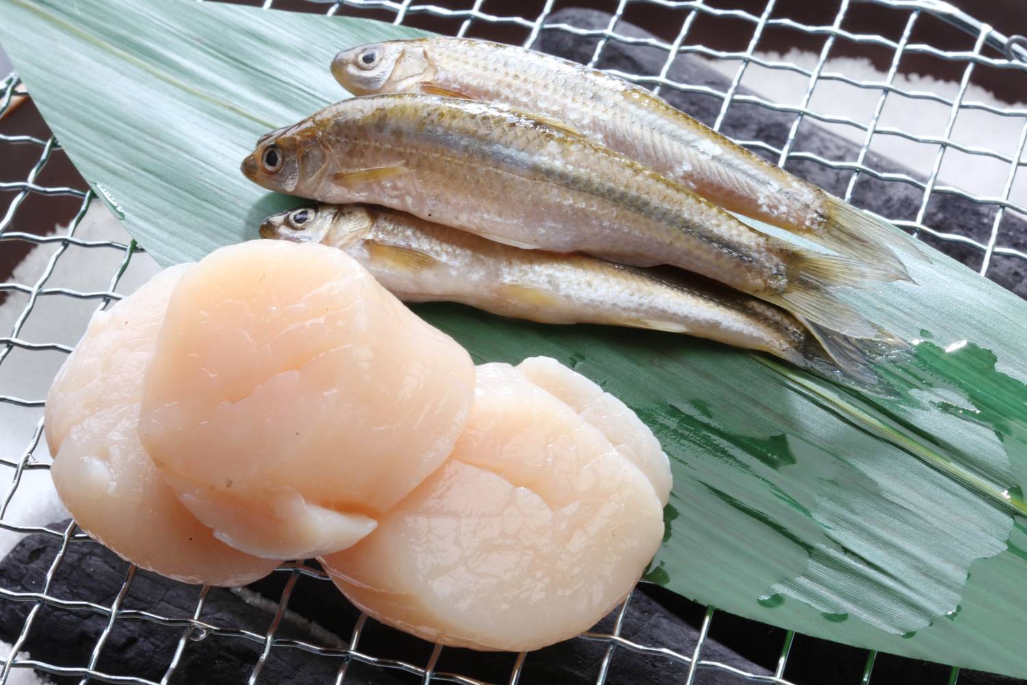 帆立貝と季節の湖魚の炭火焼き