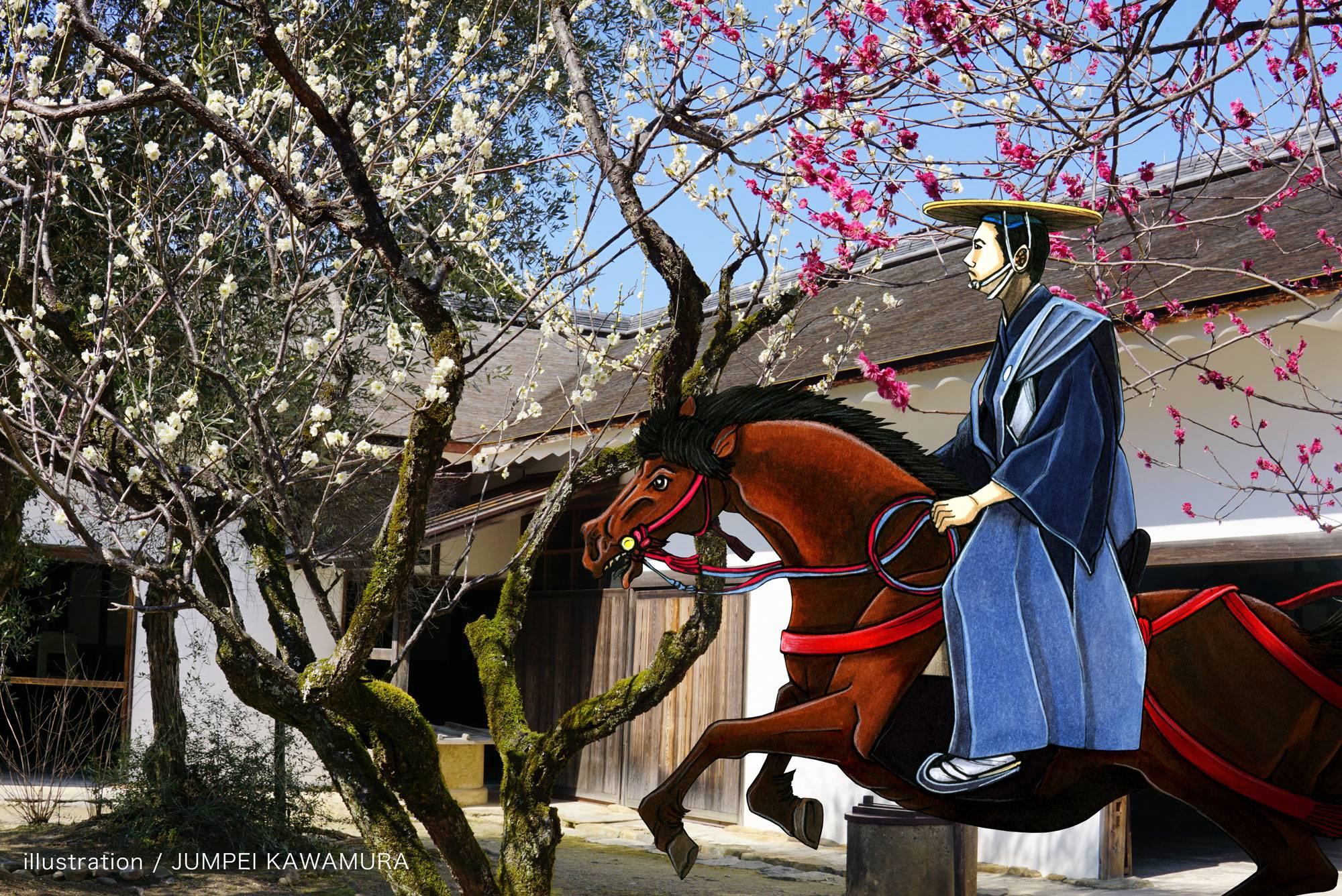 |彦根お天気ブログ|　 彦根城の梅は咲いたか、桜はまだかいな〜