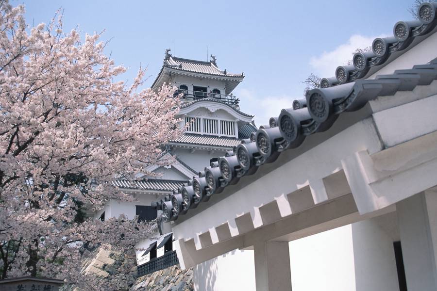 長浜城歴史博物館