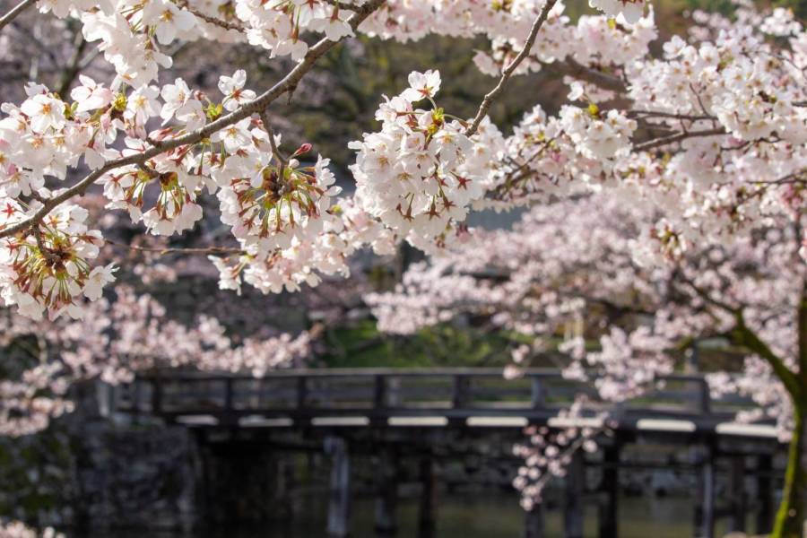 表門橋