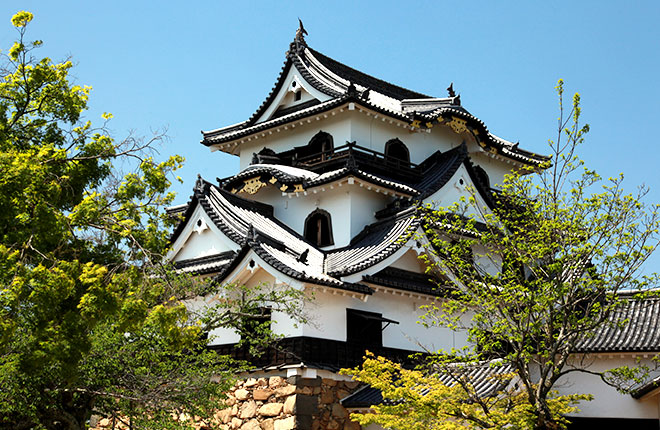 Hikone Castle