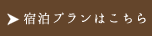 詳しくはこちら